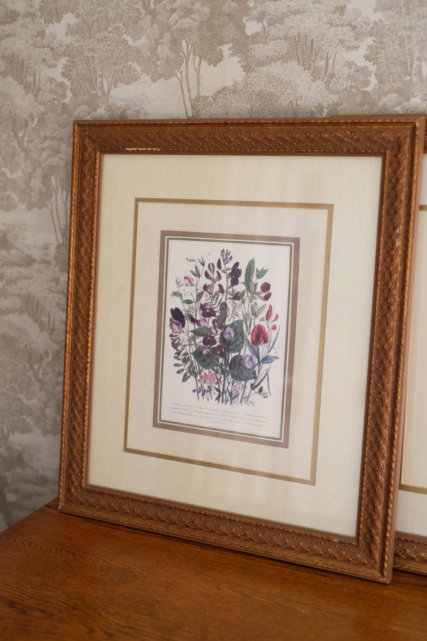 Set of Botanical Framed Art (prints)