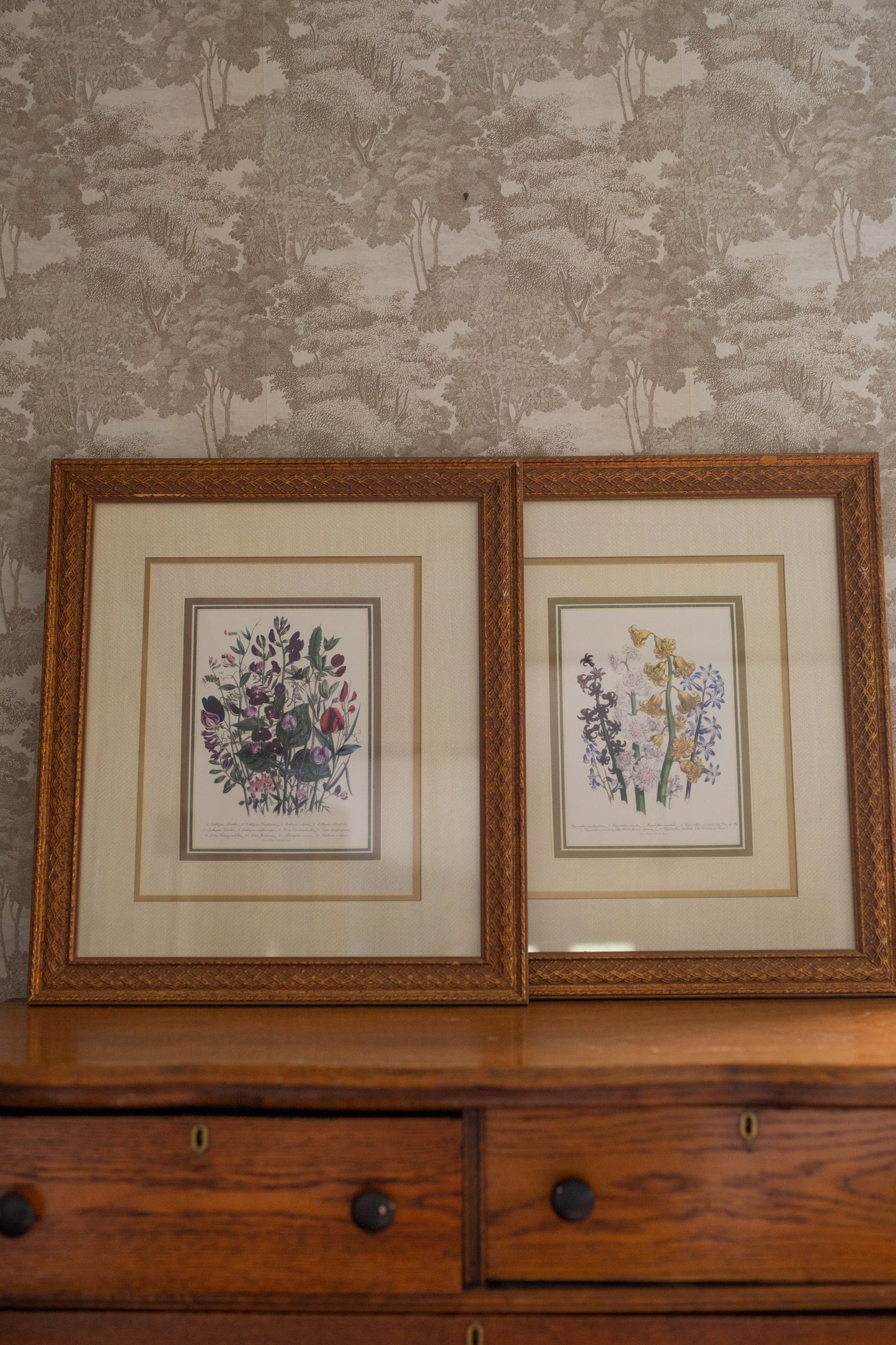 Set of Botanical Framed Art (prints)