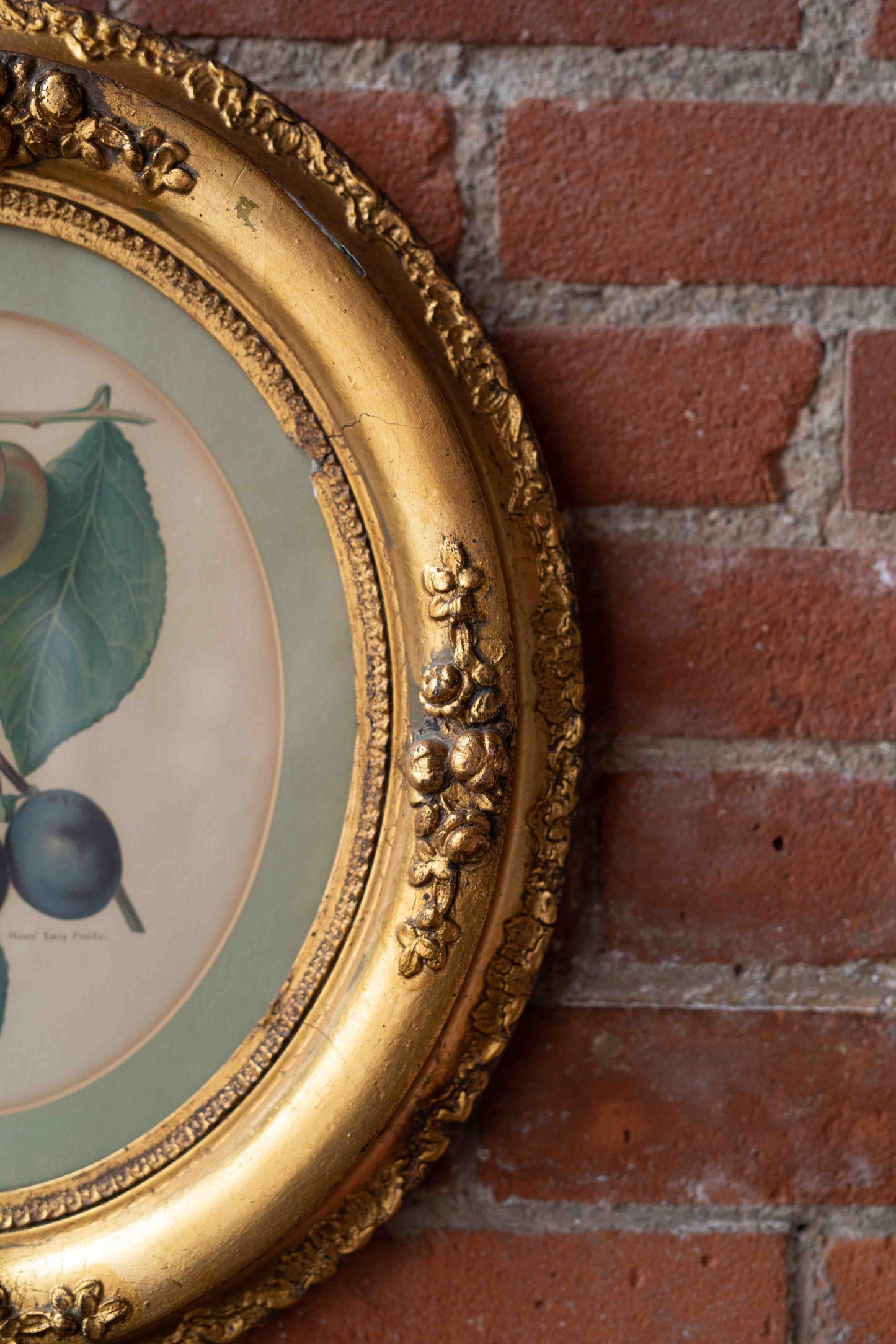 Antique Chromolithograph John Wright's "Fruit Grower's Guide"