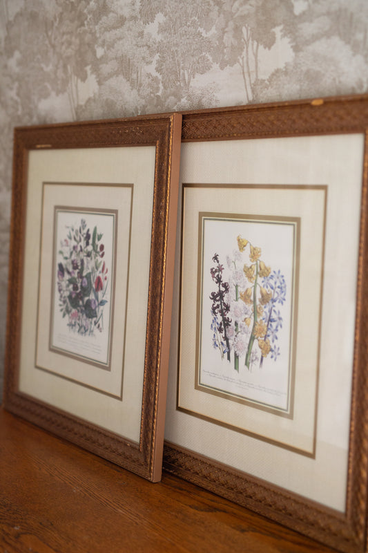 Set of Botanical Framed Art (prints)
