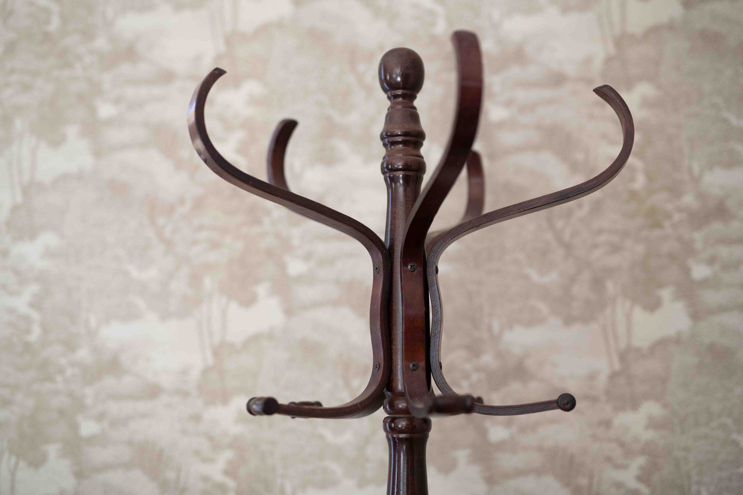Vintage Bentwood Rotating Coatrack