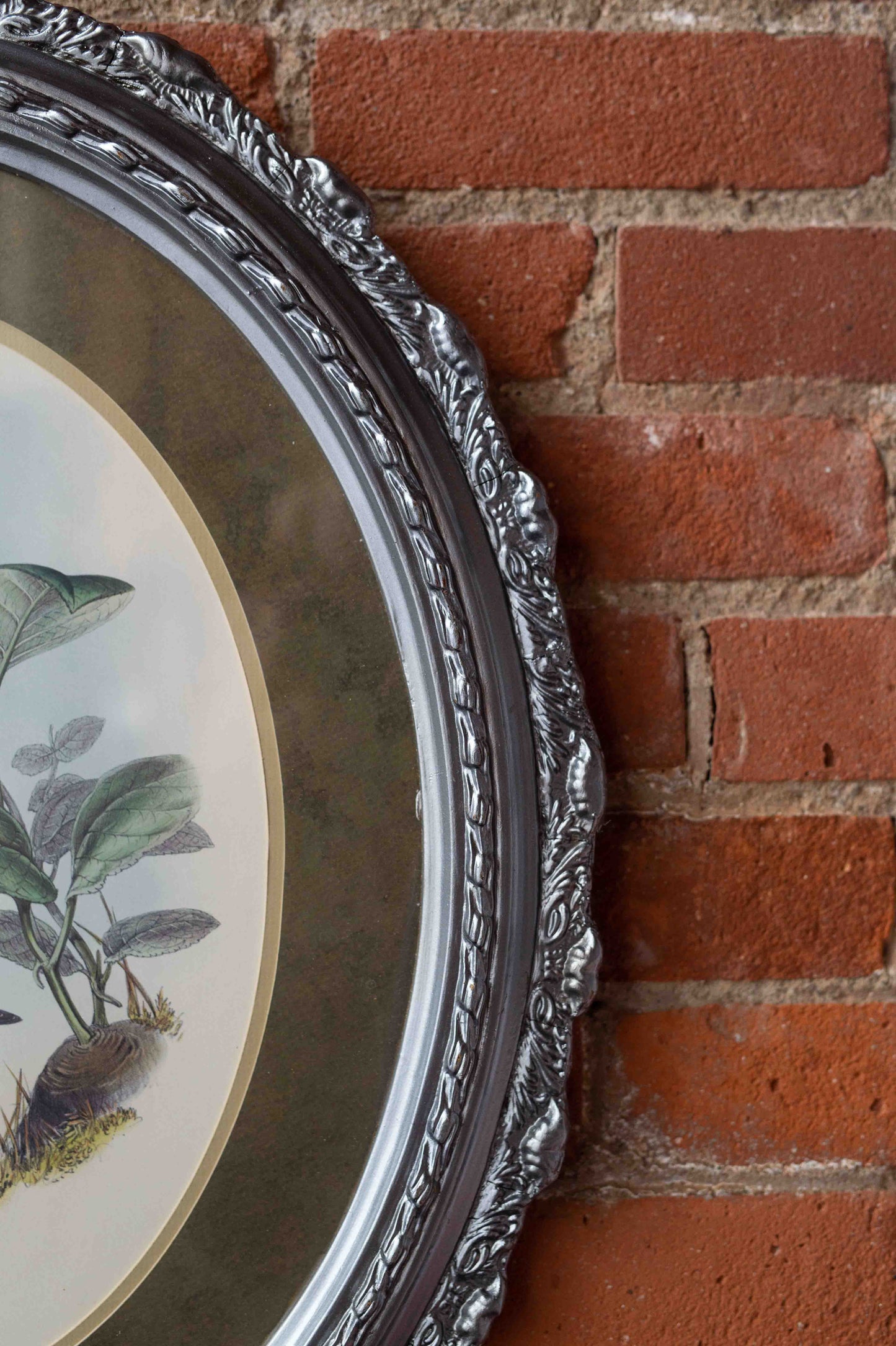 20x24 Hummingbird Lithograph by John Gould