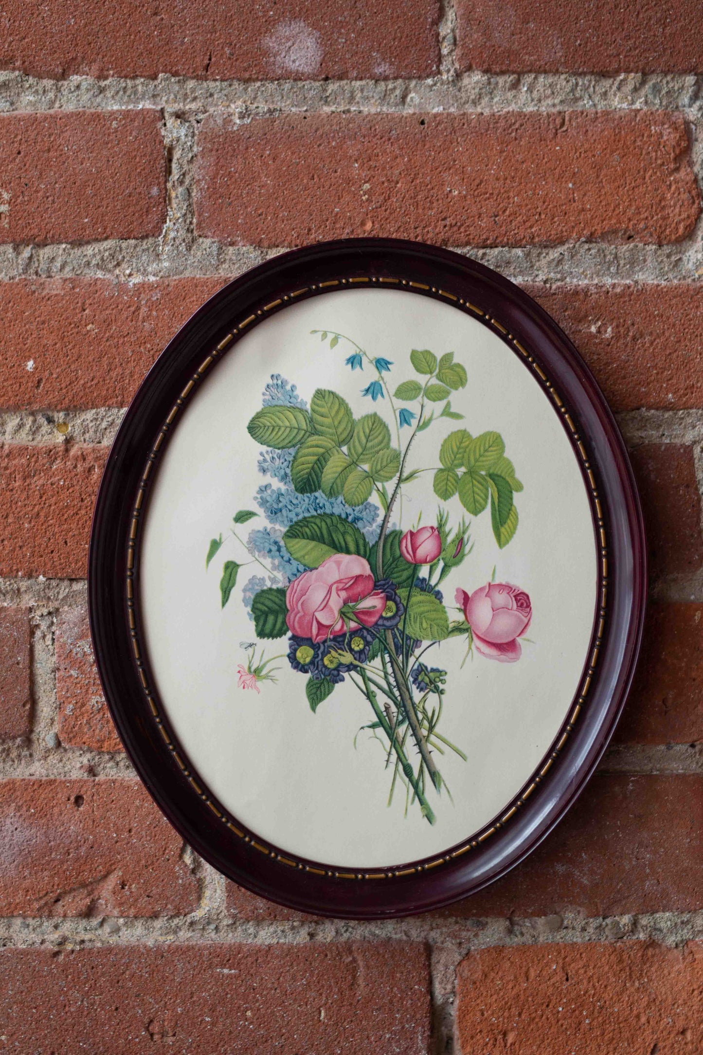 Vintage Botanical Lithograph