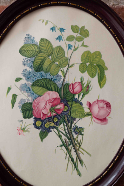 Vintage Botanical Lithograph