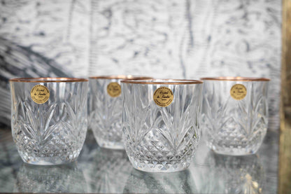 Cristal Double Old fashioned Glasses