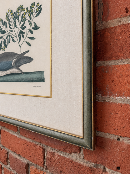 Custom Framed Art, Anas Minor